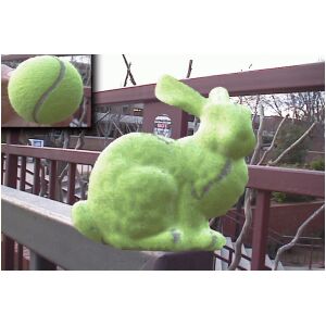 bunny-outside-tennisball.gif