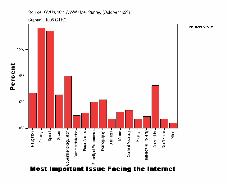Most Important Issue Facing the Internet