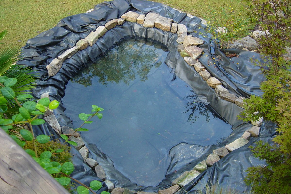 Ideas for garden fish ponds Details ~ Home landscaping