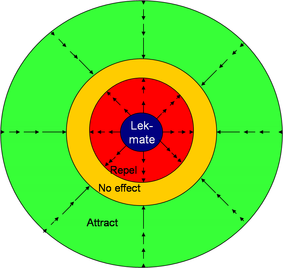 Figure 2:  Lek vector field model.