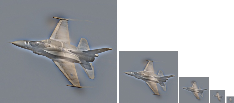 All Sizes of the Hybrid bird-plane image.
