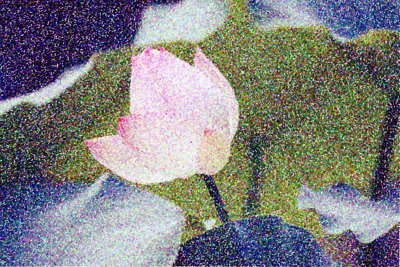 Pink_flower_pointillism