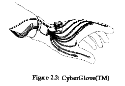 Figure
2.3: Virtual Technologies Inc. CyberGlove(TM)