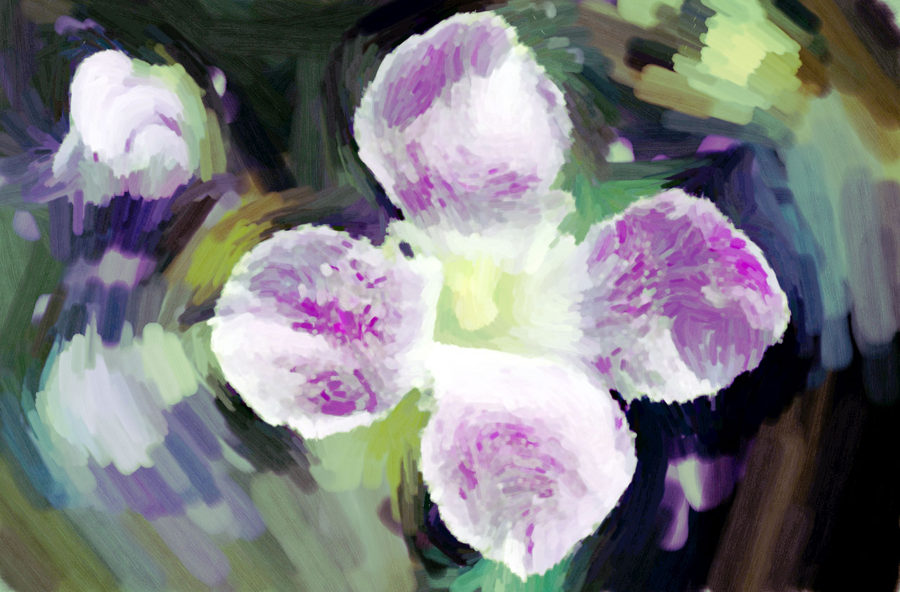 Purple_flower_abstract_impr