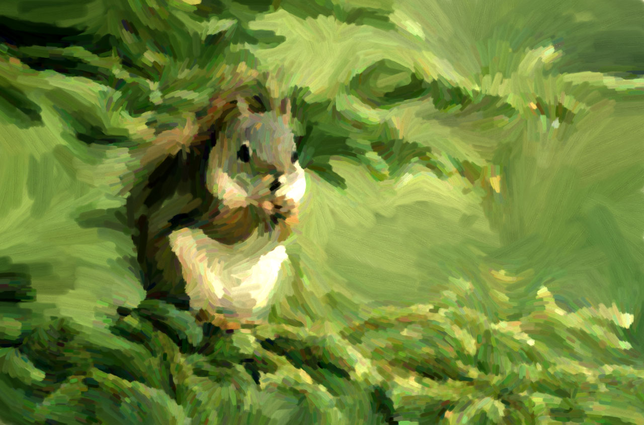 Squirrel_Impressionism