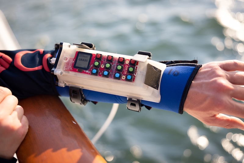 The CHAT wrist device emits dolphin-like whistle sounds made up by the researchers to designate specific items.