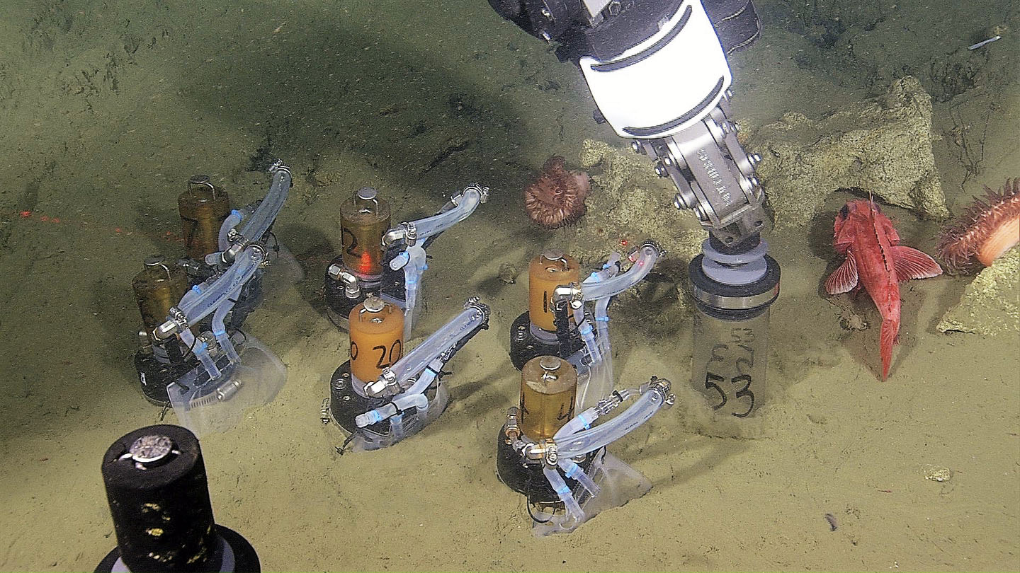 Sediment samples being collected