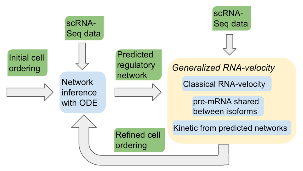Network Inference Process